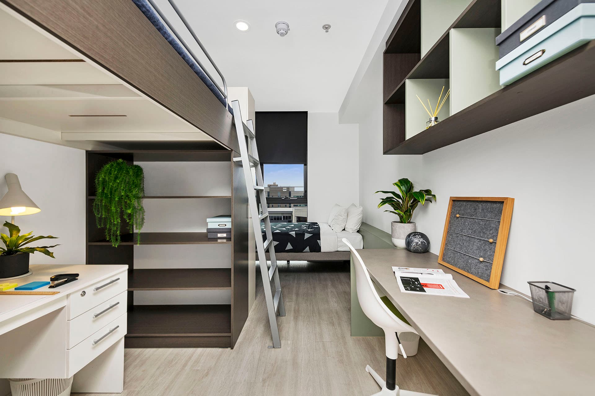 Room 5