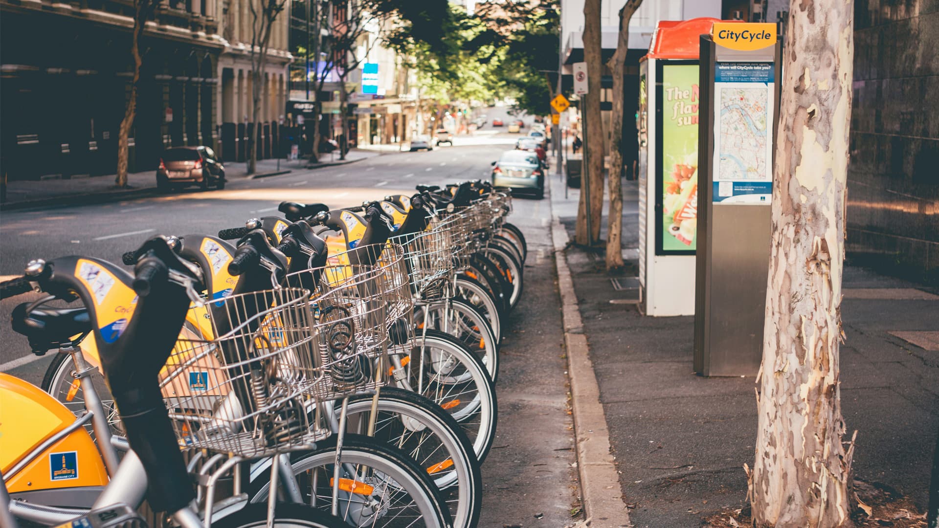 Brisbane’s University Commute: A Student’s Guide to Public Transport
